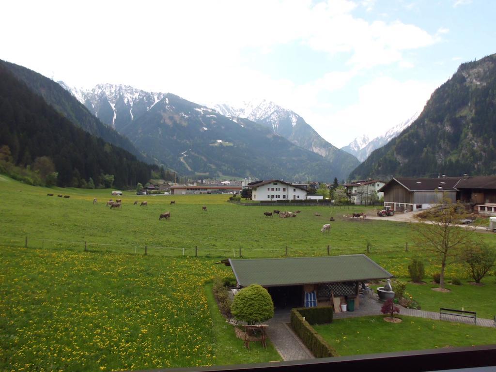 Ferienwohnungen Rahm Mayrhofen Cameră foto
